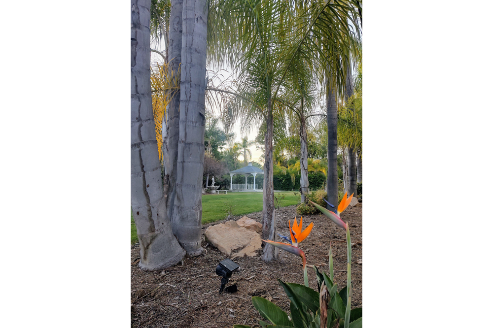 wedding locations san diego